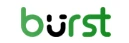 Burst Statistics