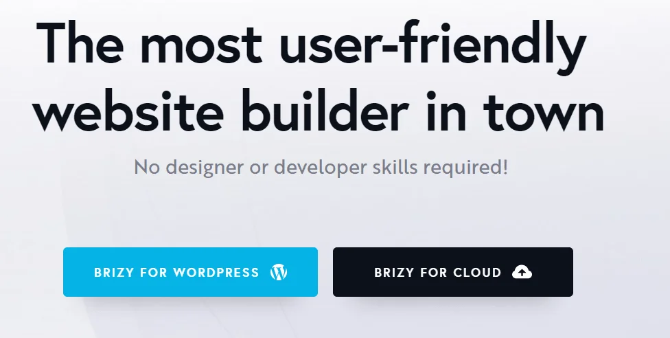 Brizy