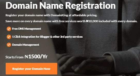DomainKing