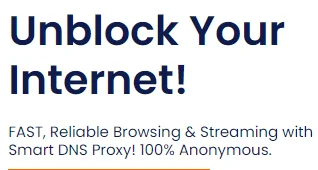 Smart DNS Proxy