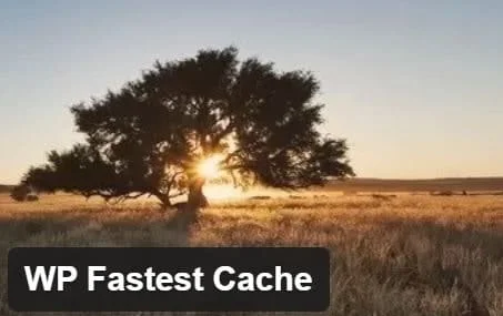 WP Fastest Cache